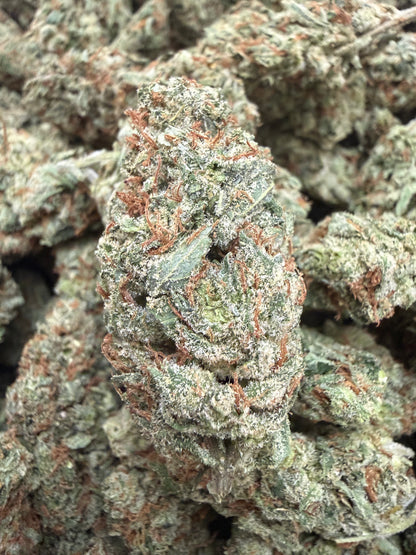 1 Pound - Lilac Jack THCA Flower