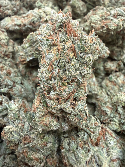 1 Pound - Lilac Jack THCA Flower