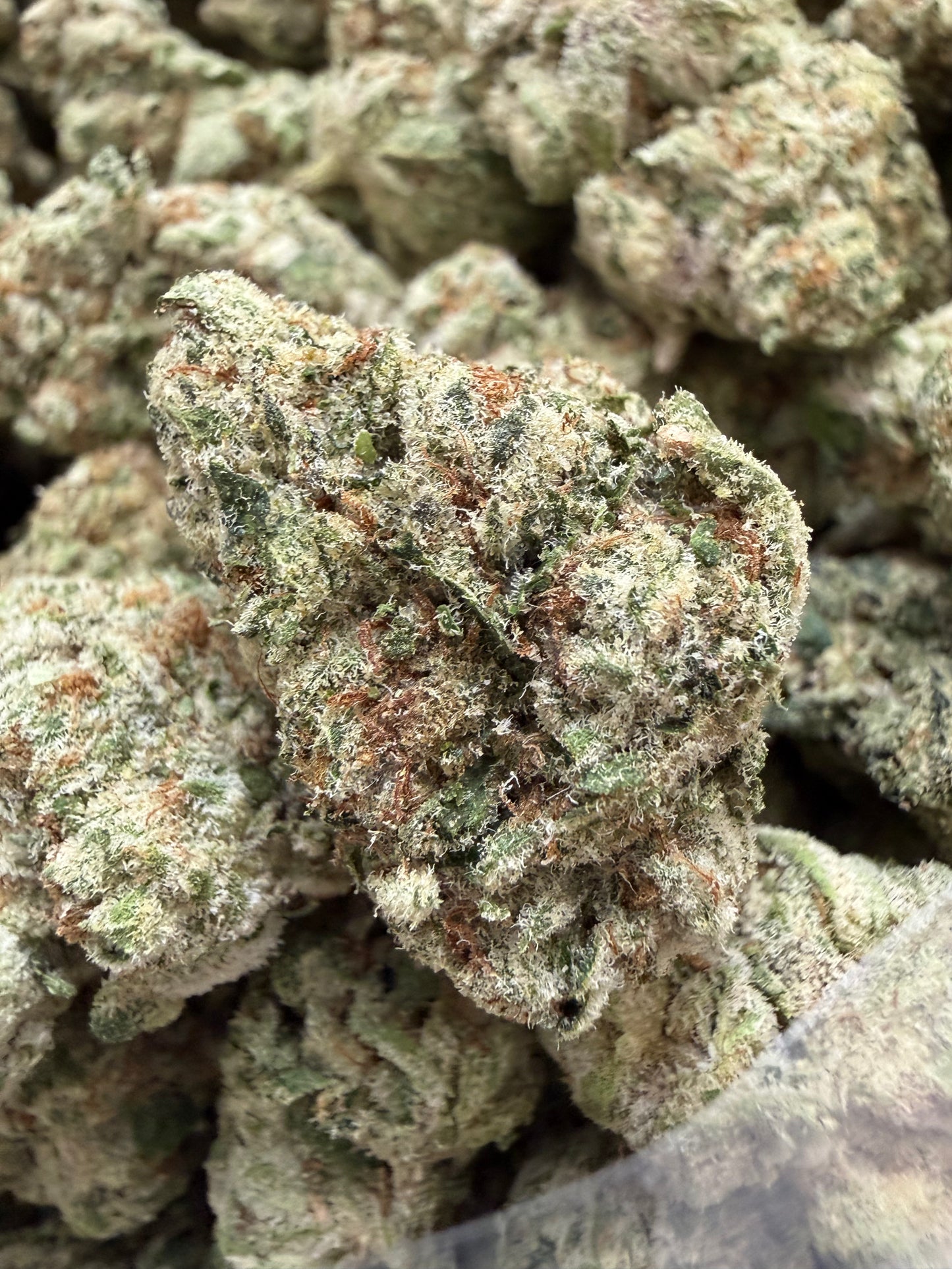 1 Pound - Zkittlez Pie THCA Flower