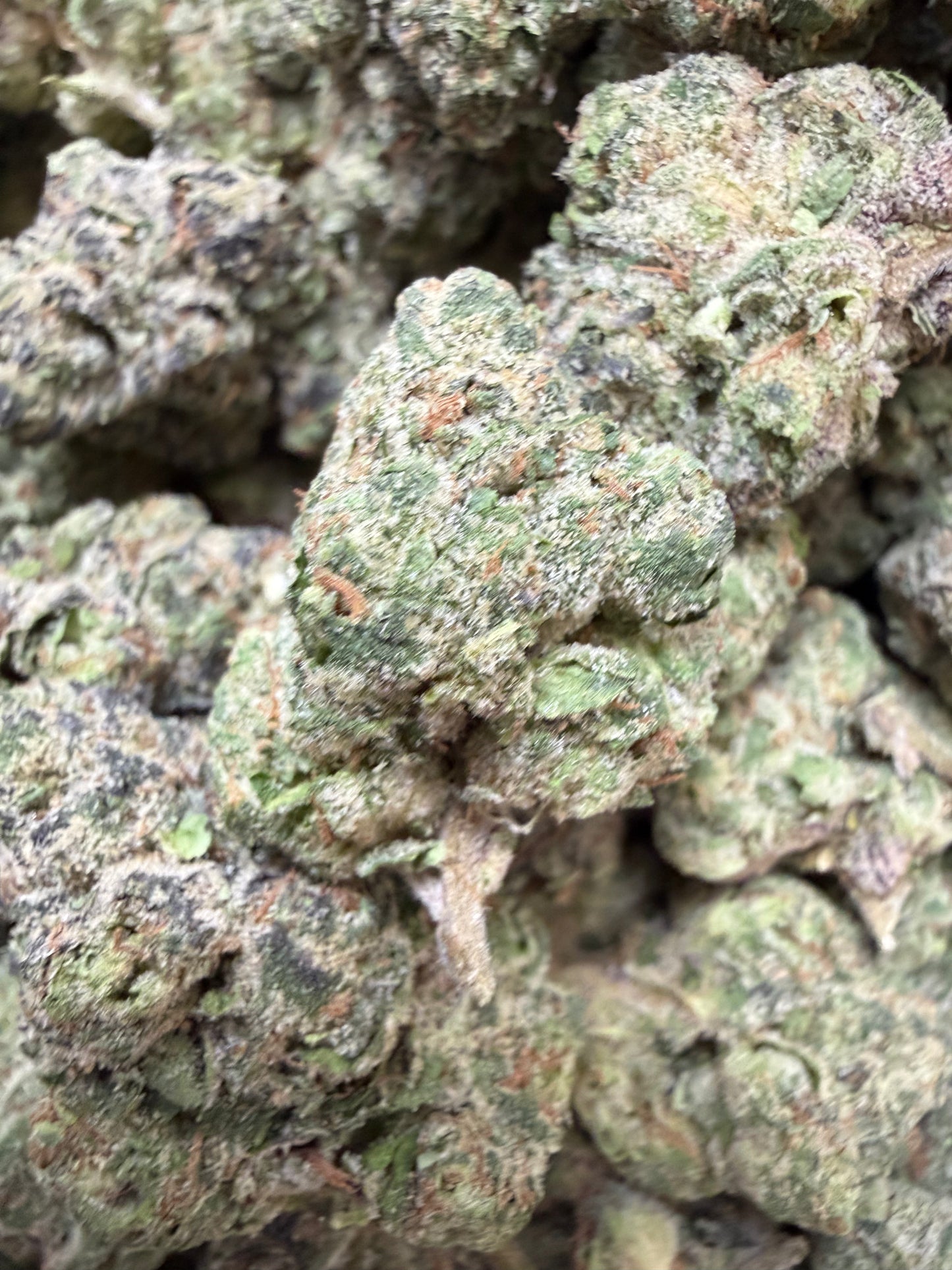 1 Pound - Jealousy Runtz THCA Flower