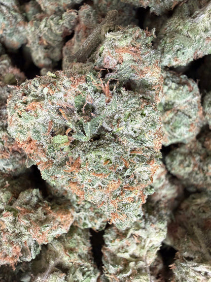 1 Pound - Black Gelato THCA Flower