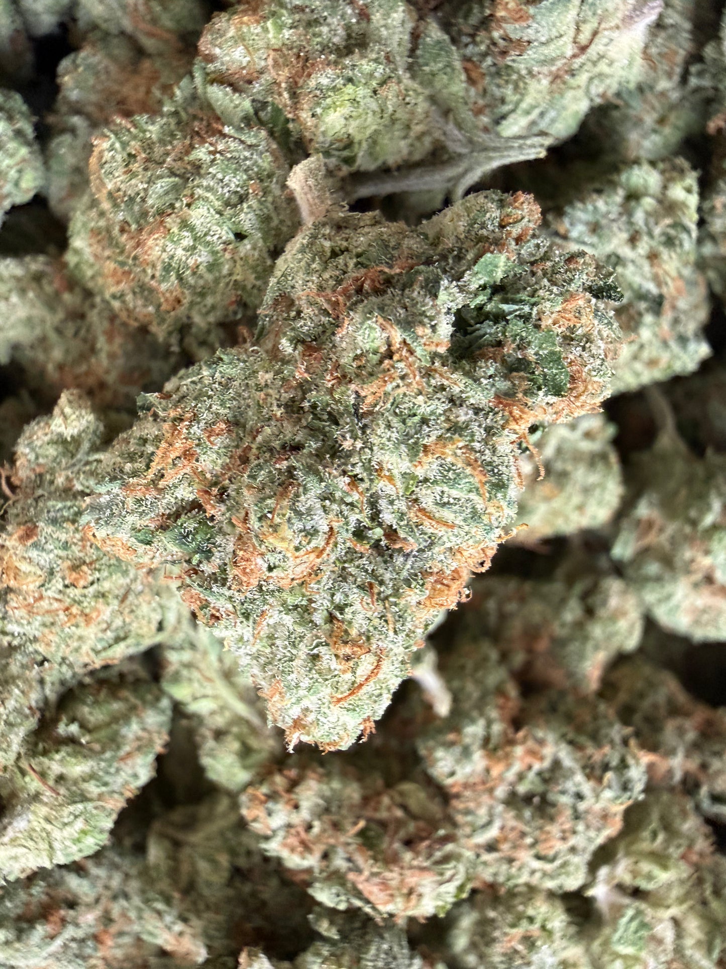 1 Pound - Black Gelato THCA Flower