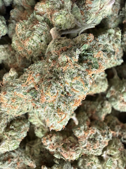 1 Pound - Black Gelato THCA Flower