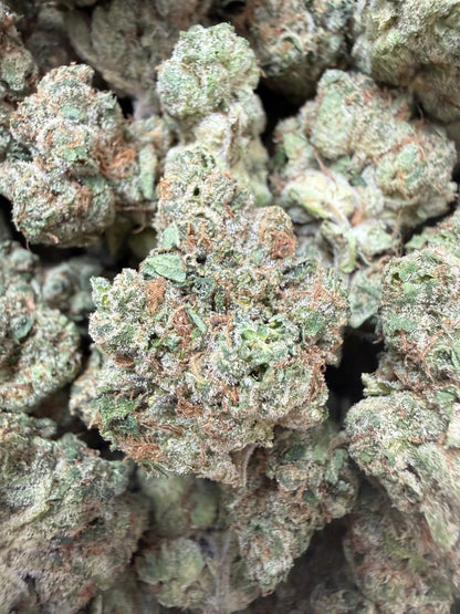 1 Pound - Gelato Mintz THCA Flower