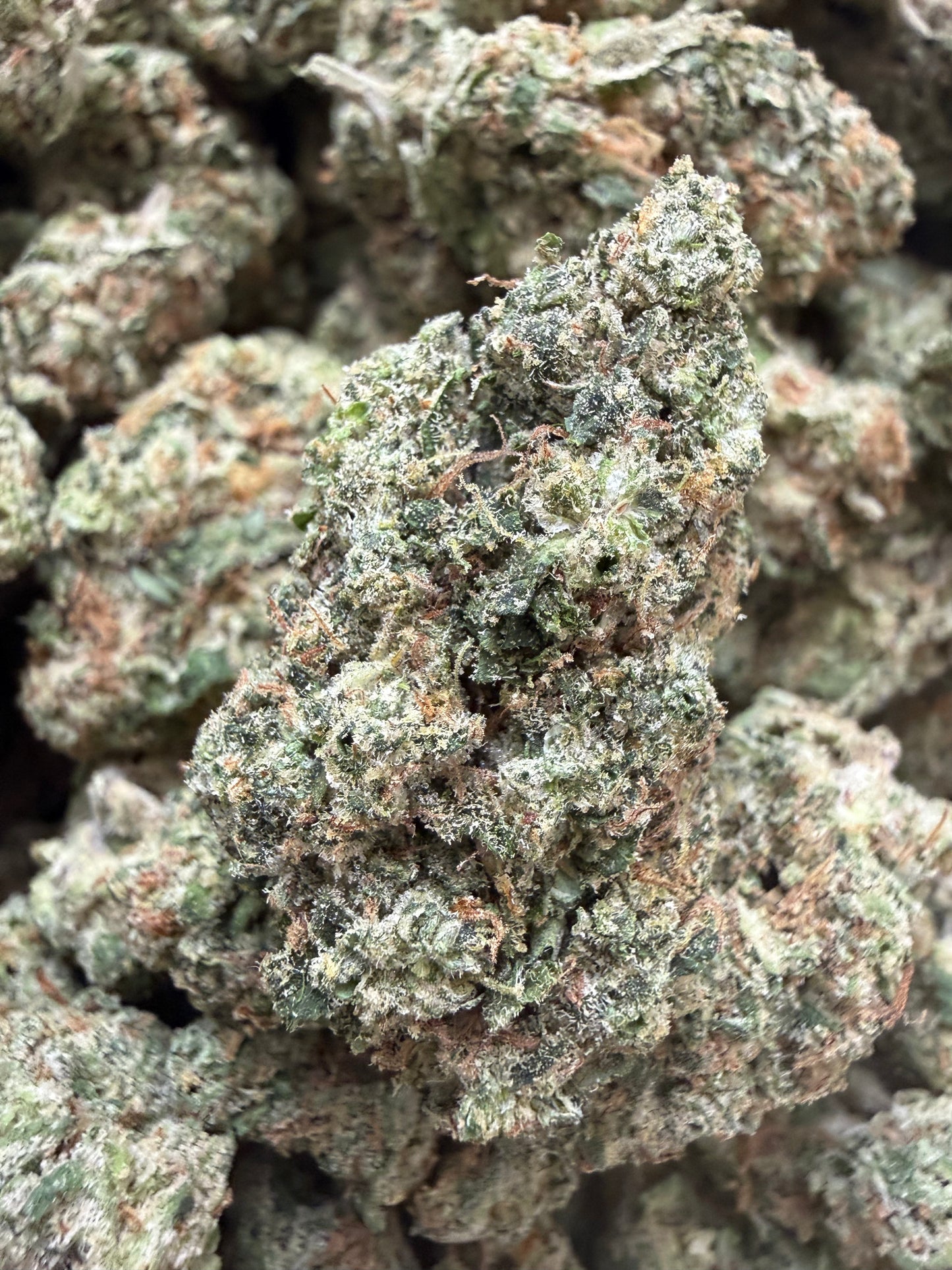 1 Pound - Mafia Funeral THCA Flower