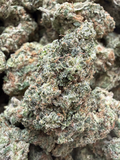 1 Pound - Mafia Funeral THCA Flower