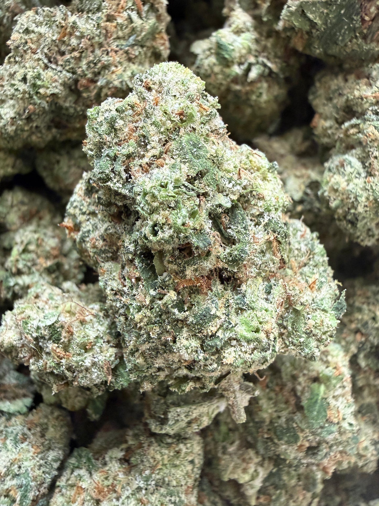 1 Pound - Mafia Funeral THCA Flower