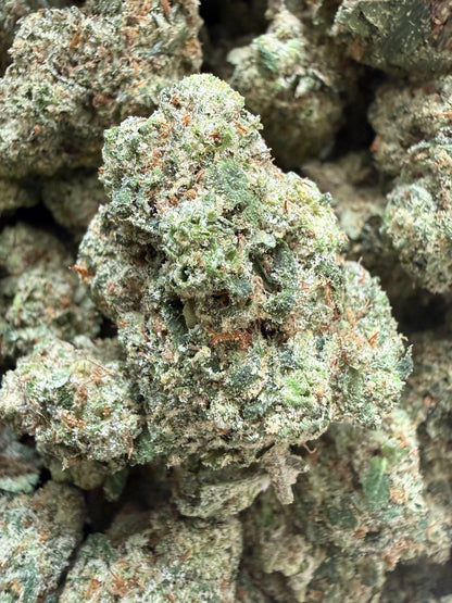 1 Pound - Mafia Funeral THCA Flower