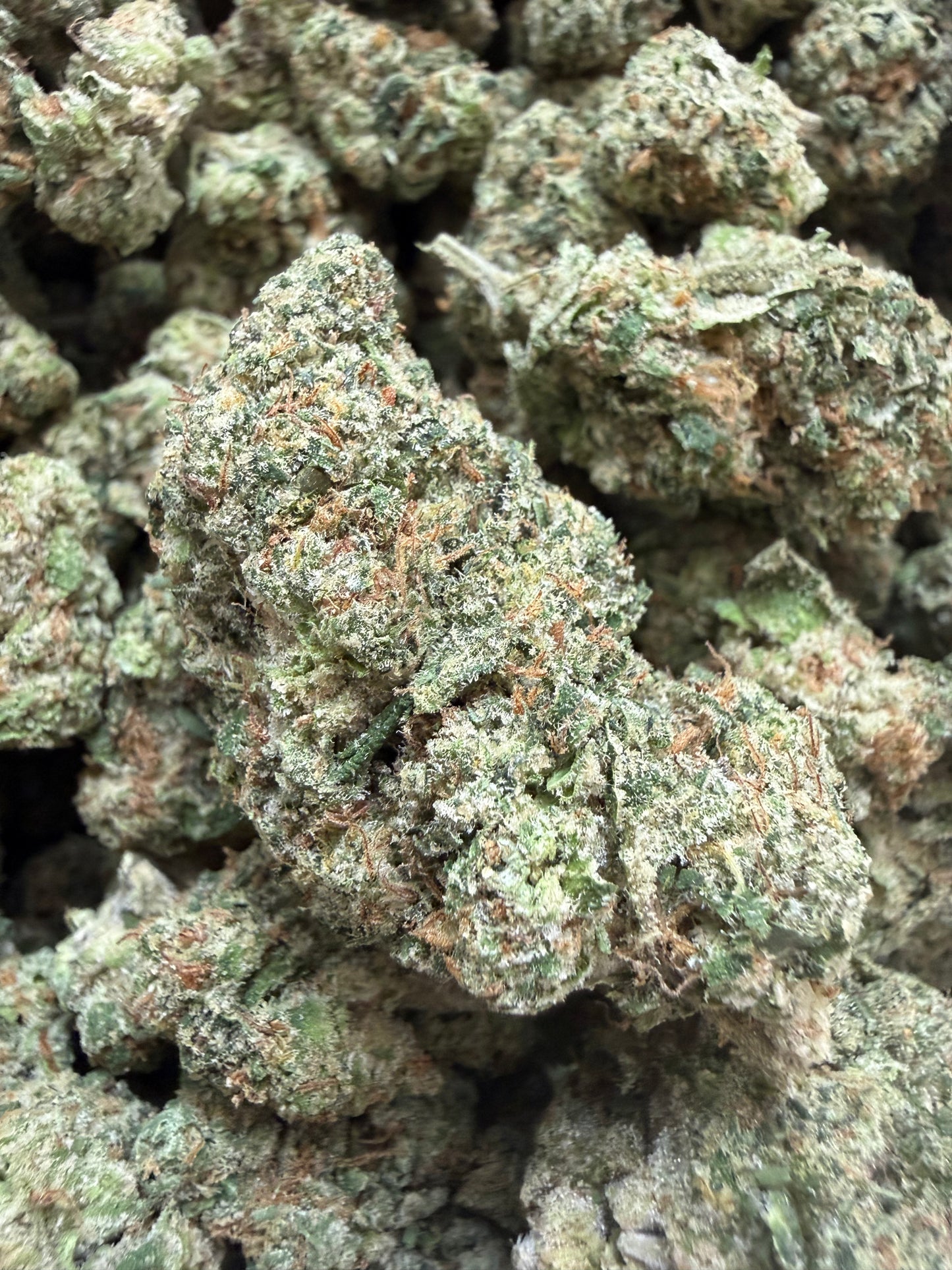 1 Pound - Mafia Funeral THCA Flower
