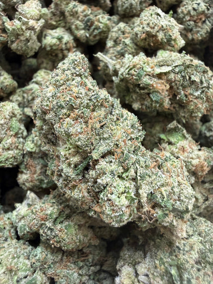 1 Pound - Mafia Funeral THCA Flower