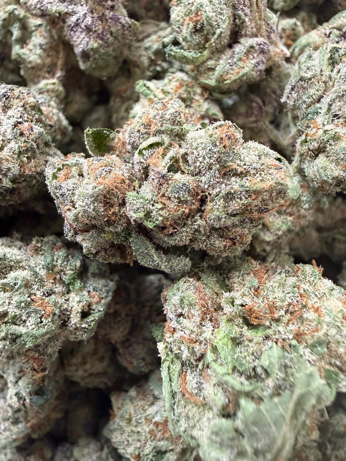 1 Pound - Larry Bird THCA Flower