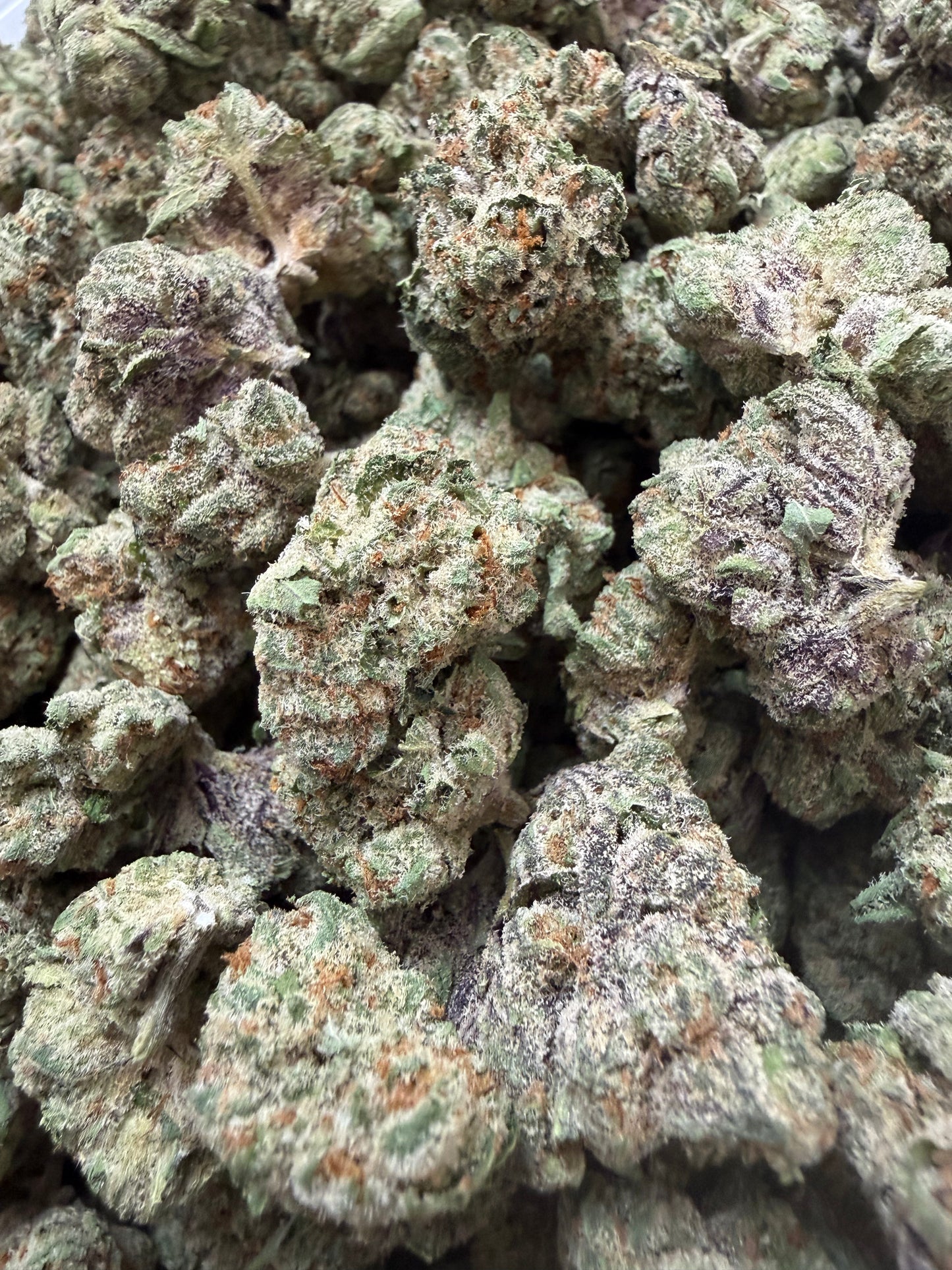 1 Pound - Larry Bird THCA Flower