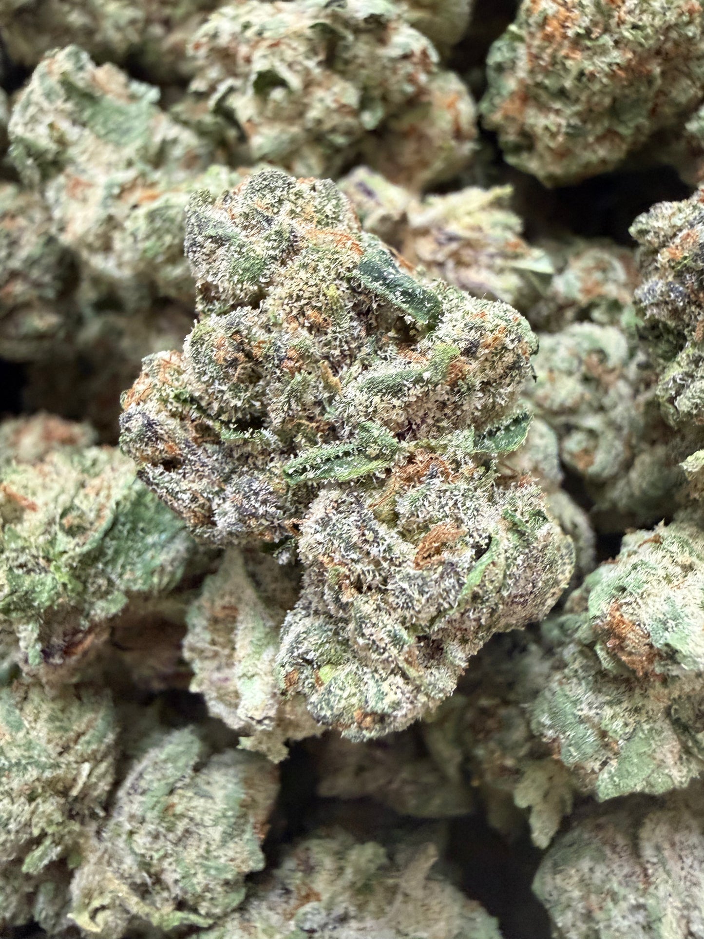 1 Pound - Larry Bird THCA Flower