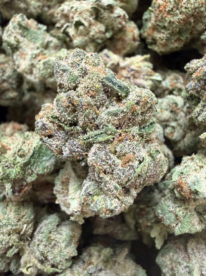 1 Pound - Larry Bird THCA Flower