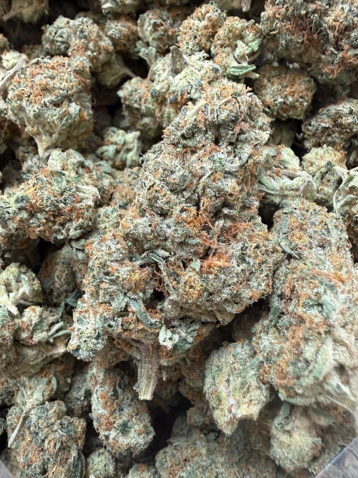 1 Pound - Golden Goat Daybreaker THCA Flower