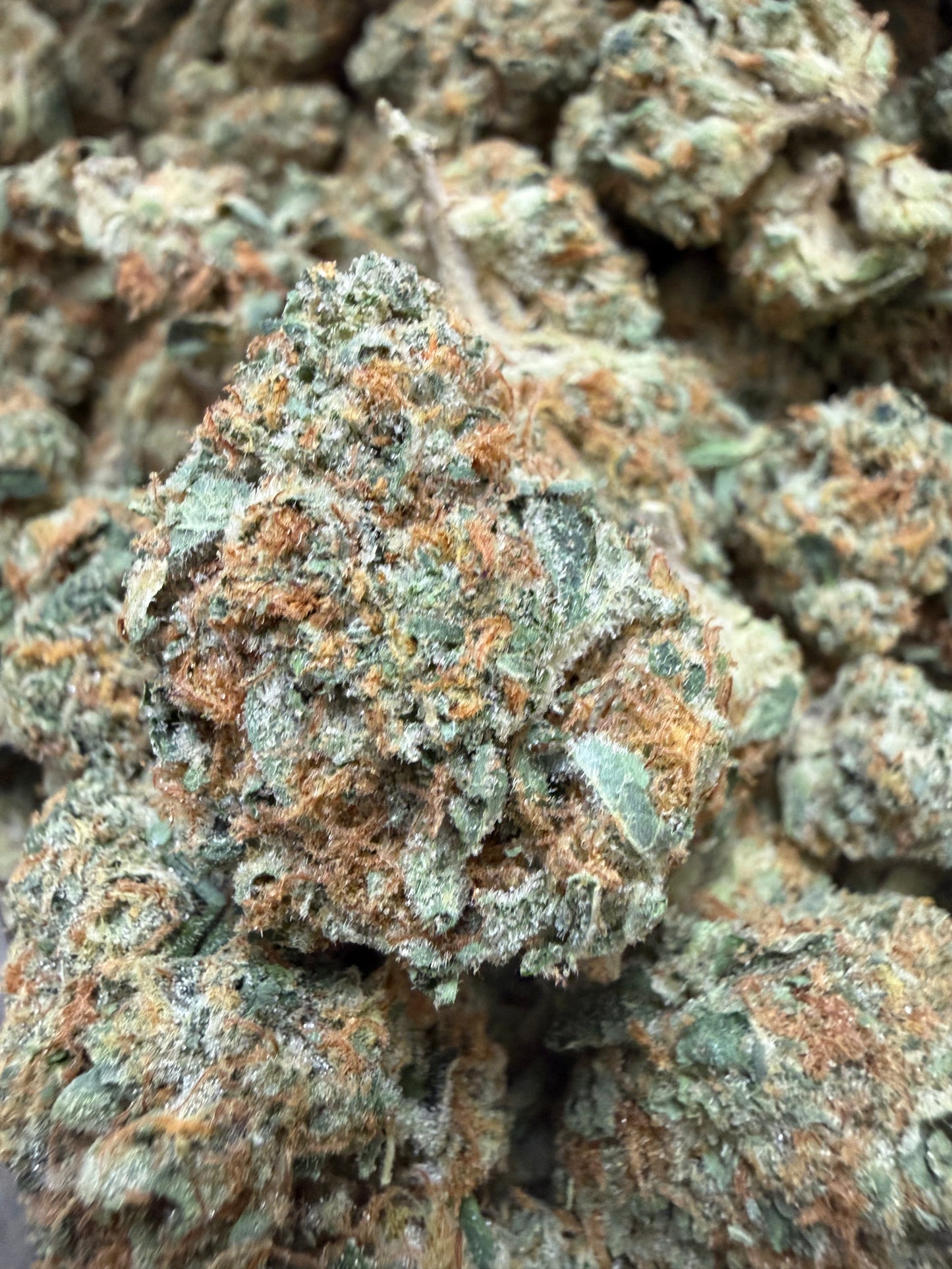 1 Pound - Golden Goat Daybreaker THCA Flower