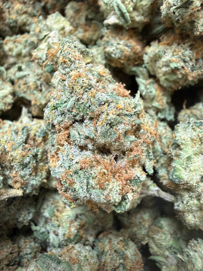 1 Pound - Golden Goat Daybreaker THCA Flower