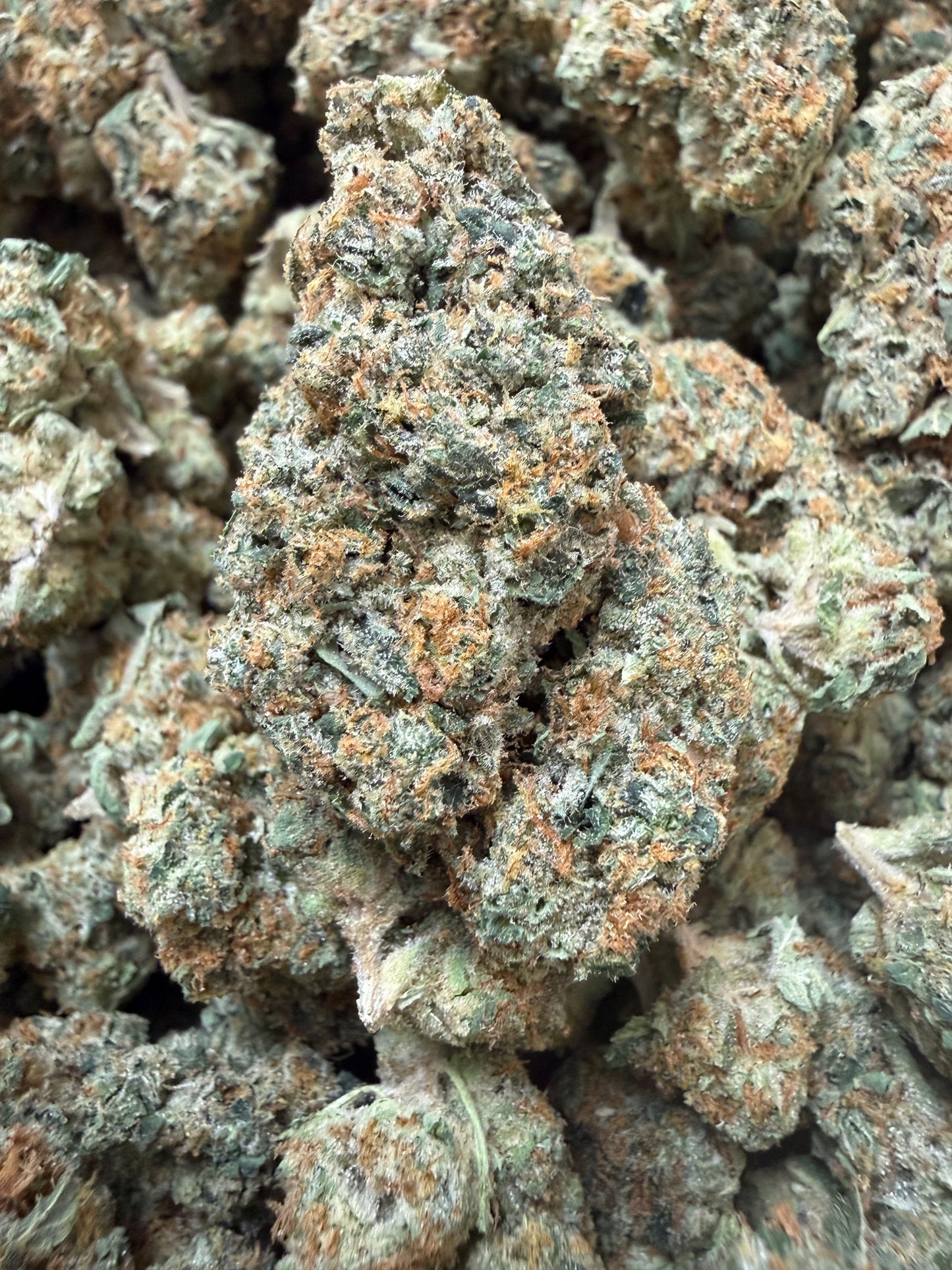 1 Pound - Golden Goat Daybreaker THCA Flower