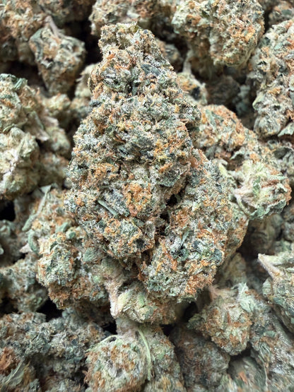 1 Pound - Golden Goat Daybreaker THCA Flower