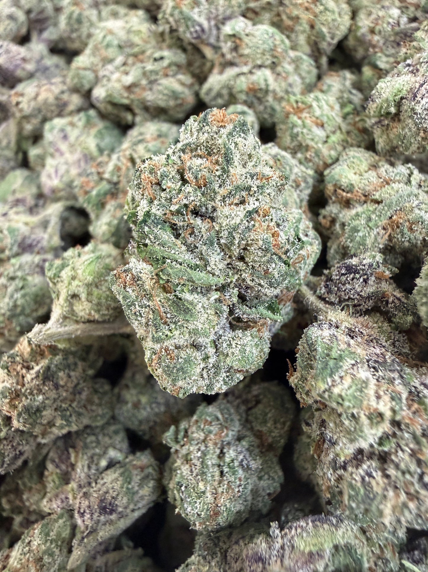 1 Pound - Royal Runtz THCA Flower