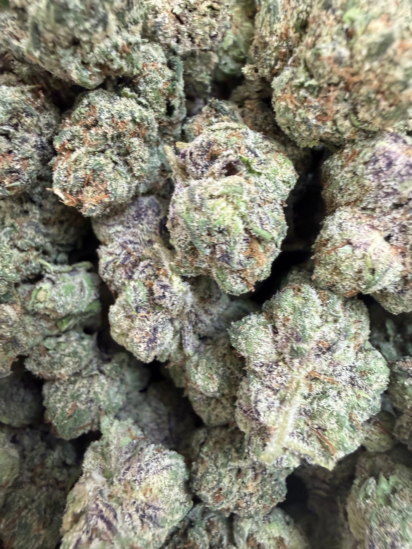 1 Pound - Royal Runtz THCA Flower
