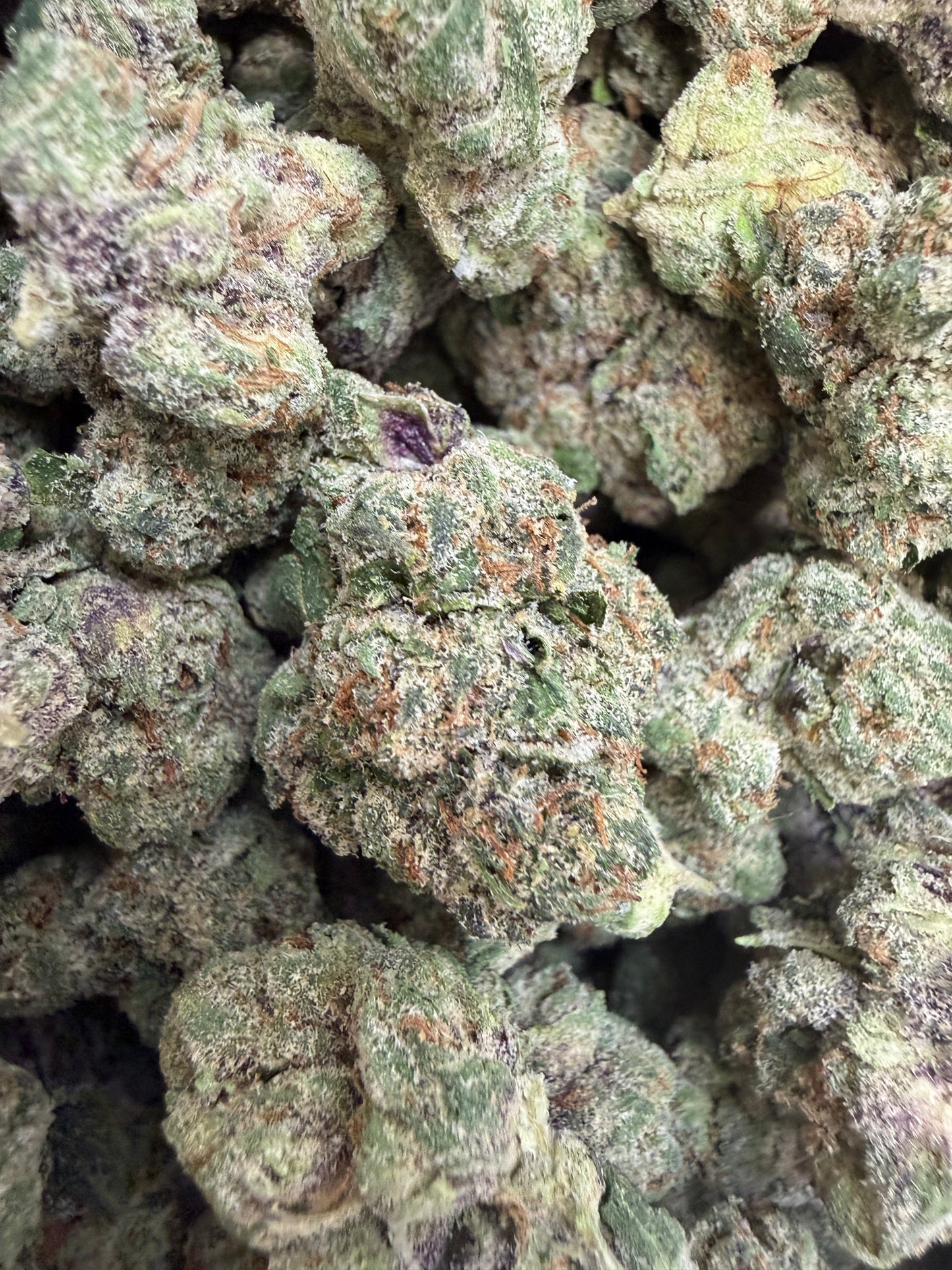 1 Pound - Royal Runtz THCA Flower