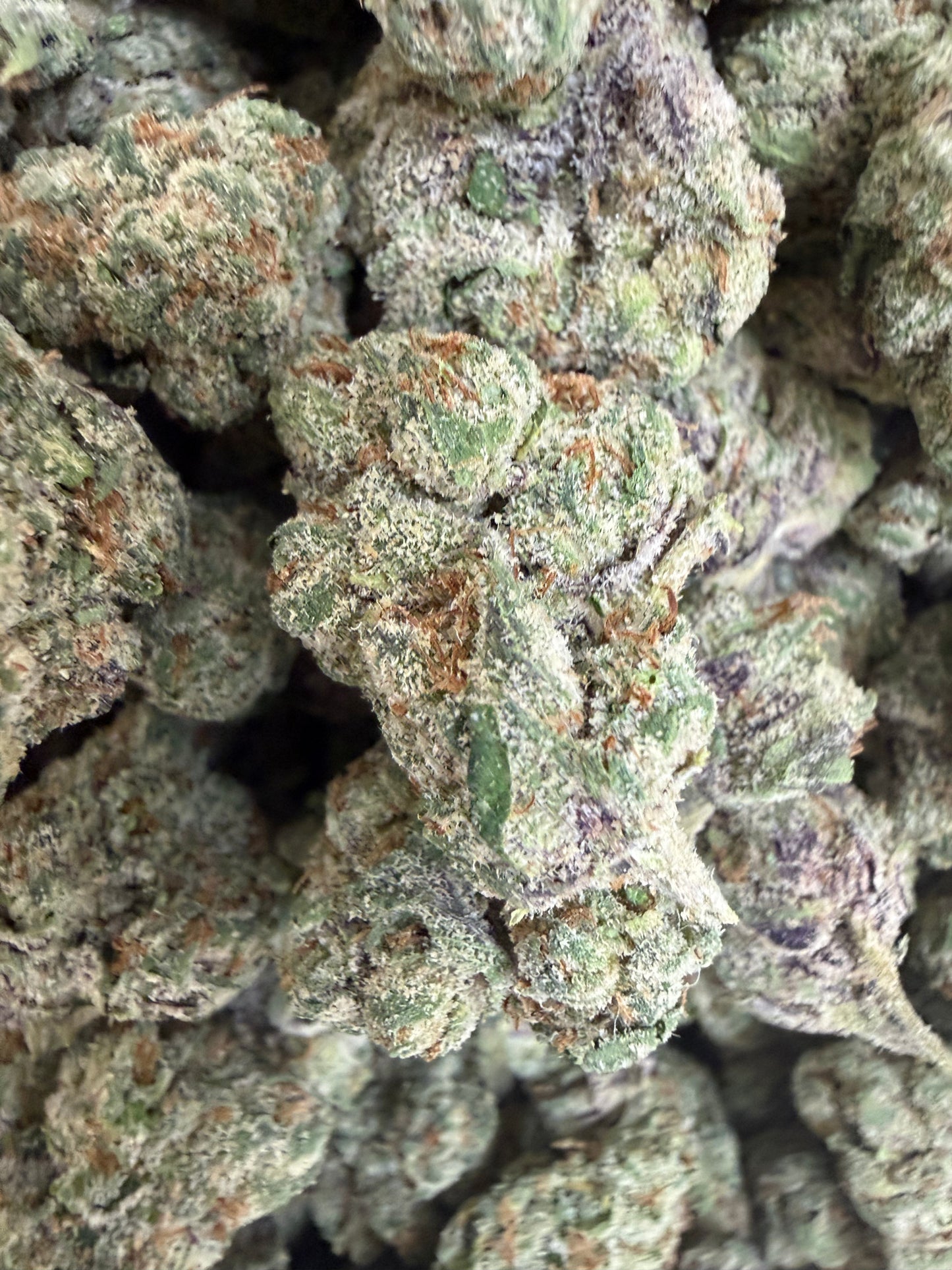 1 Pound - Royal Runtz THCA Flower