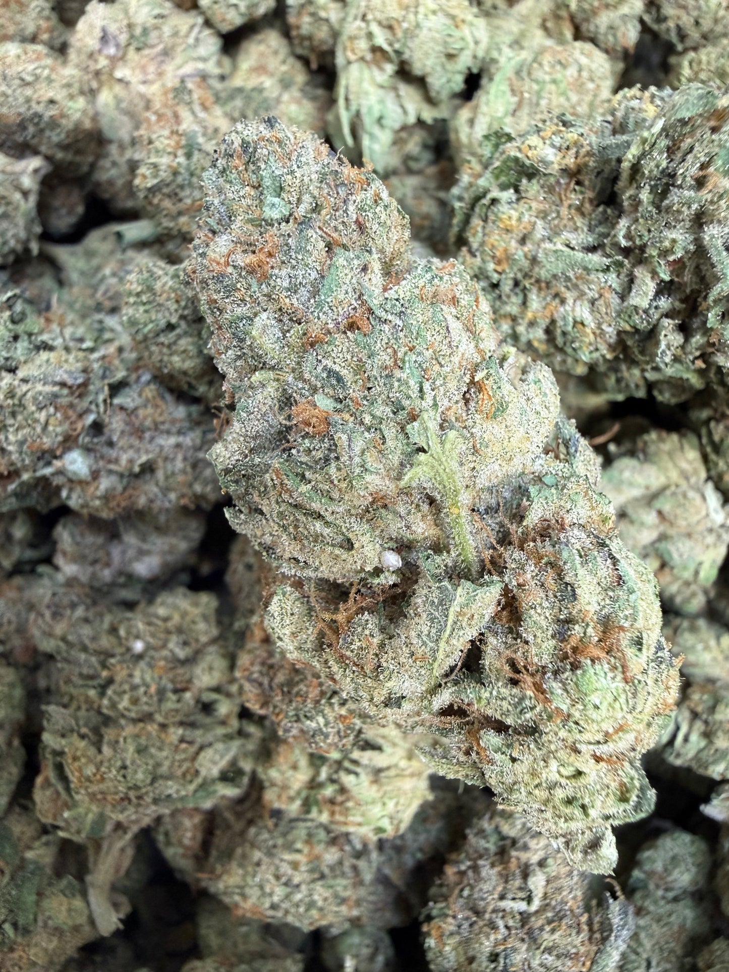 1 Pound - Sunset Sherbet THCA Flower