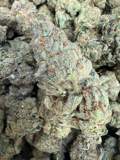 1 Pound - Sunset Sherbet THCA Flower