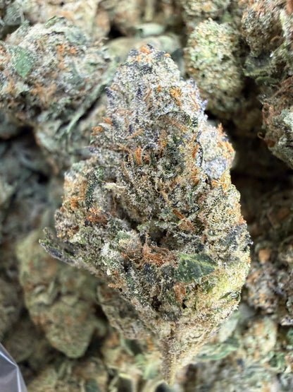 1 Pound - Sunset Sherbet THCA Flower
