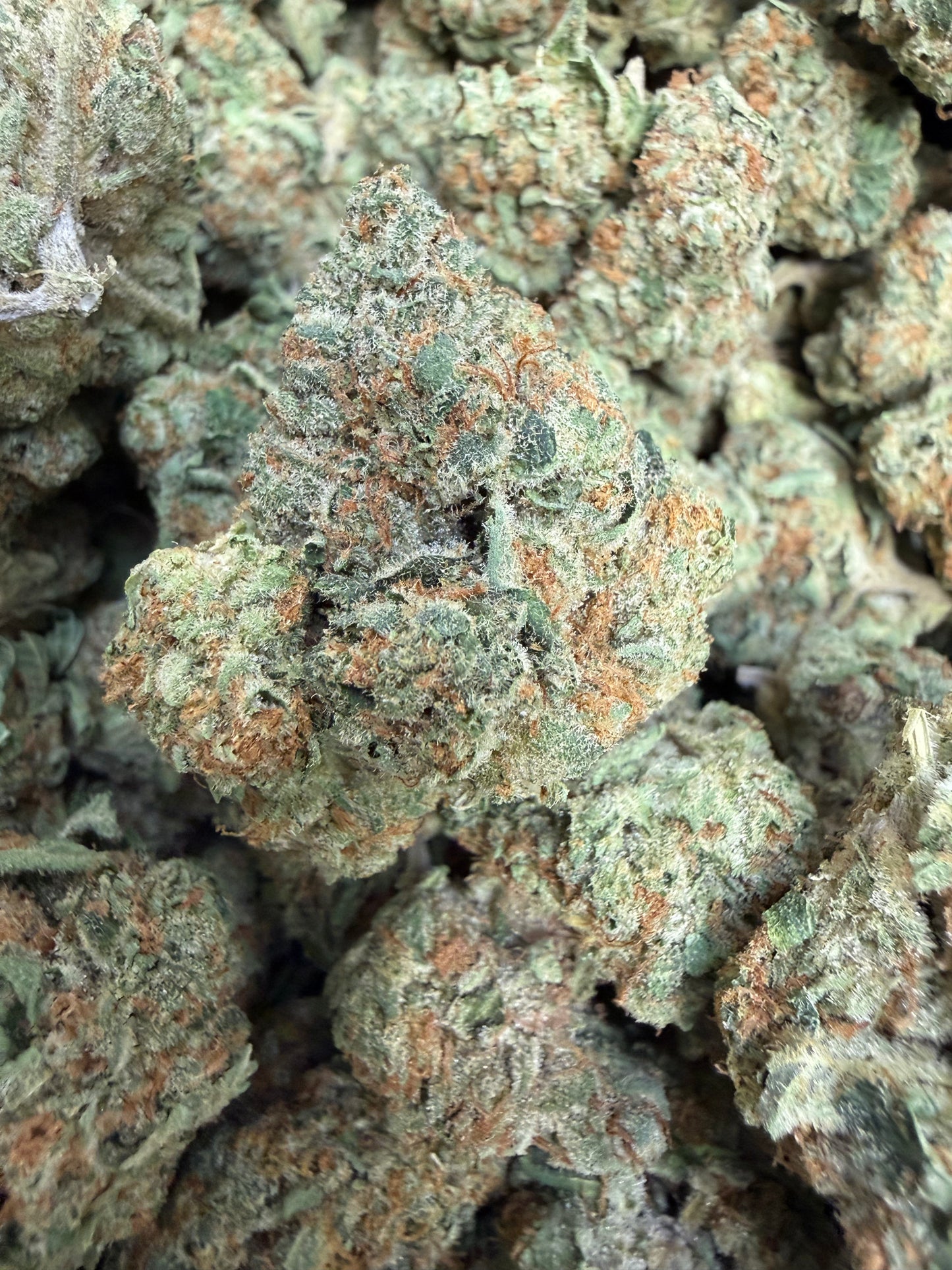 1 Pound - Jaw Breaker THCA Flower