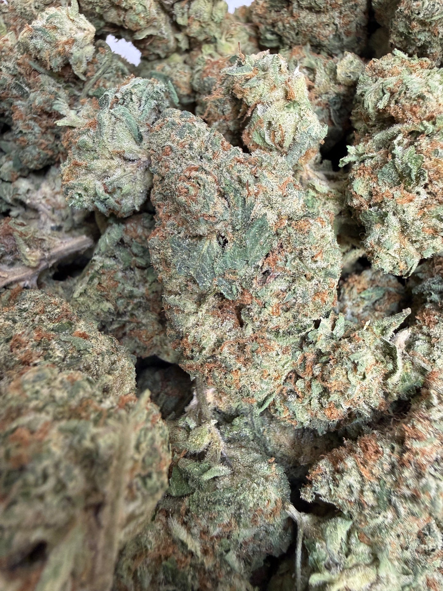 1 Pound - Jaw Breaker THCA Flower