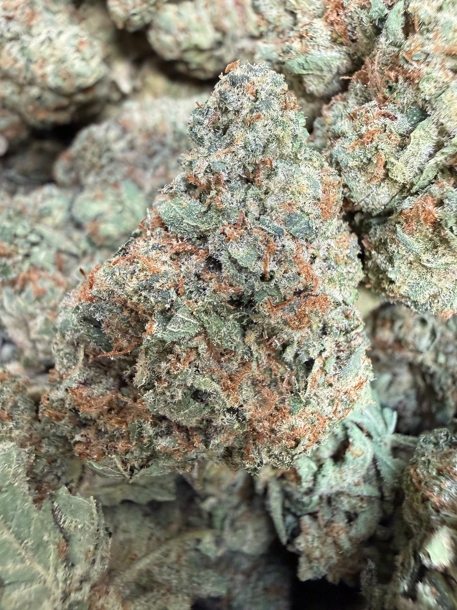 1 Pound THCA Flower - High-End Light Dep