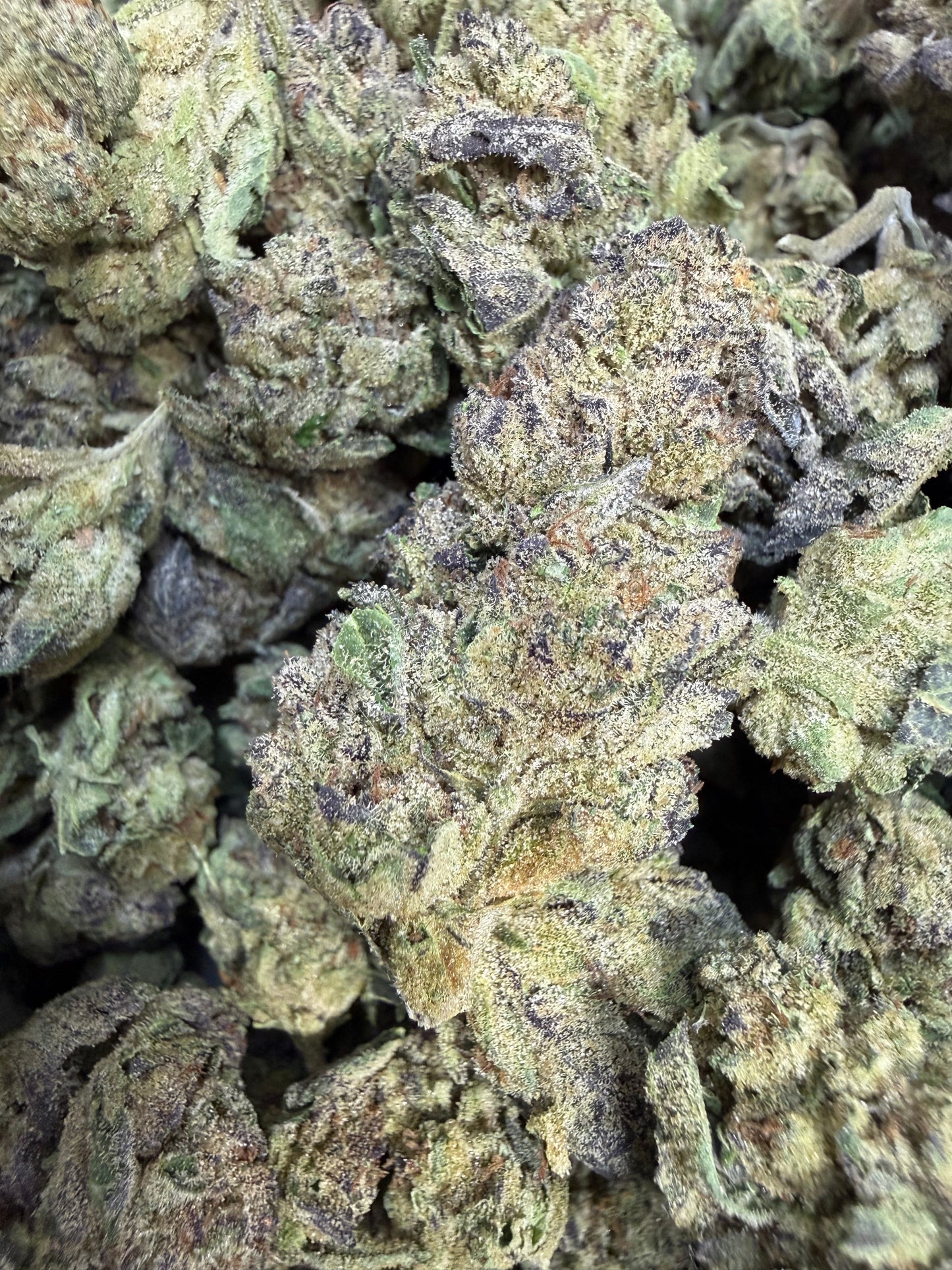 1 Pound - Alien Mintz THCA Flower