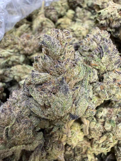 1 Pound - Alien Mintz THCA Flower