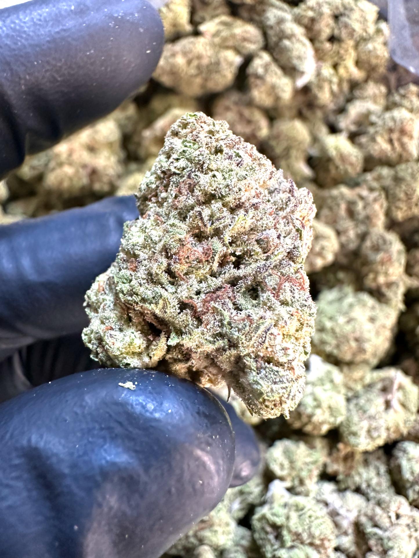 Frisco Labs - Exotic Cadillac Rainbow THCA Strain