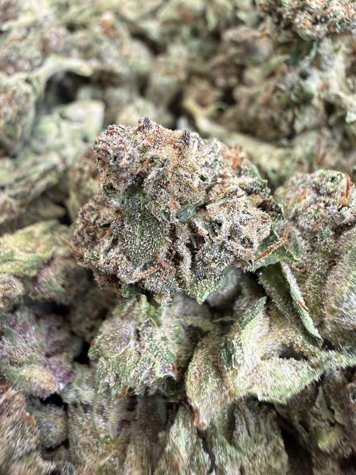 1 Pound - CHERRY GELATO THCA Flower (SMALL)