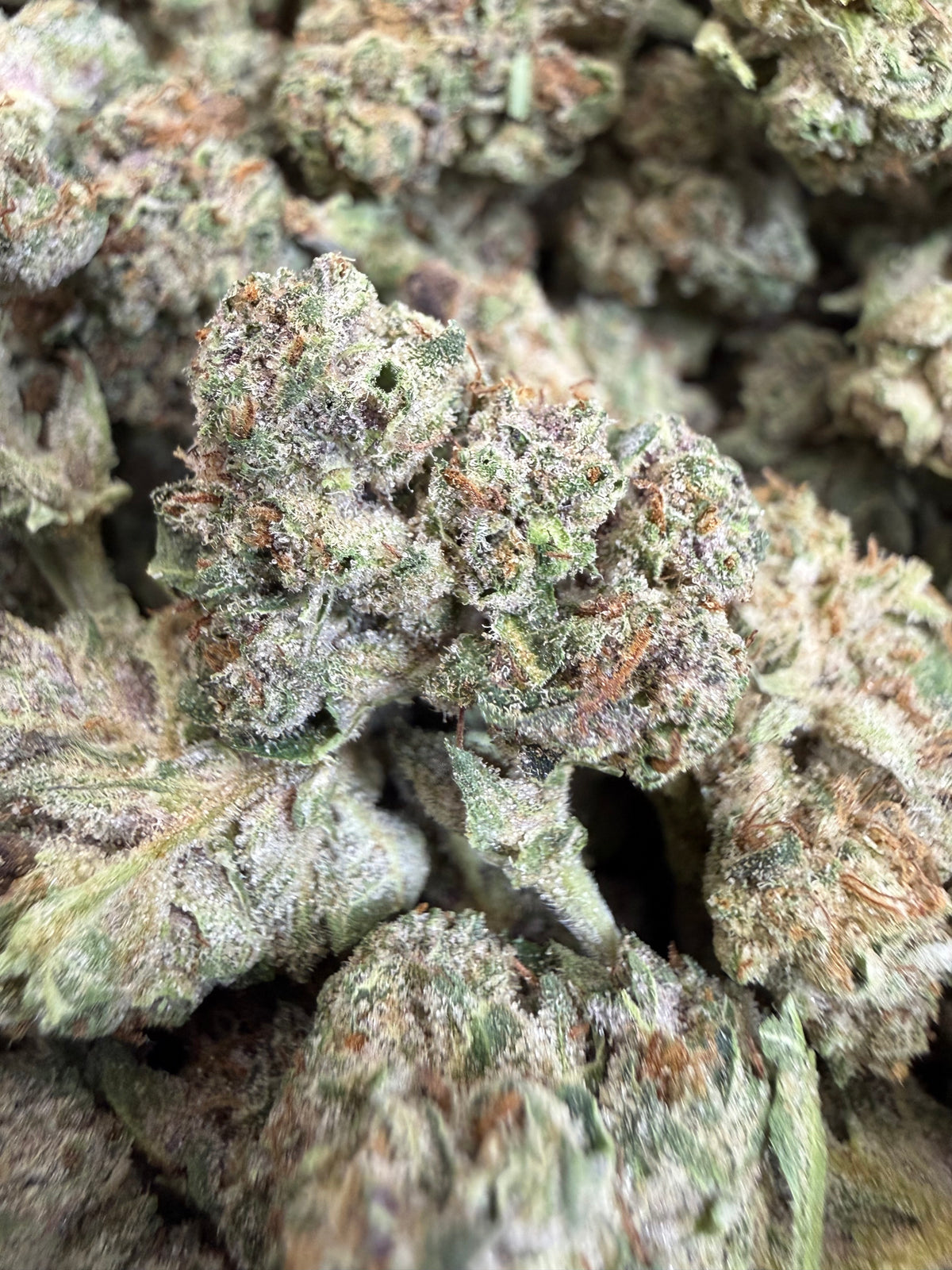 1 Pound - CHERRY GELATO THCA Flower (SMALL)