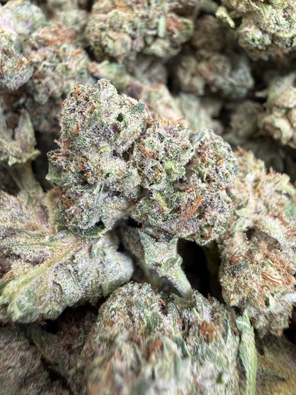1 Pound - CHERRY GELATO THCA Flower (SMALL)
