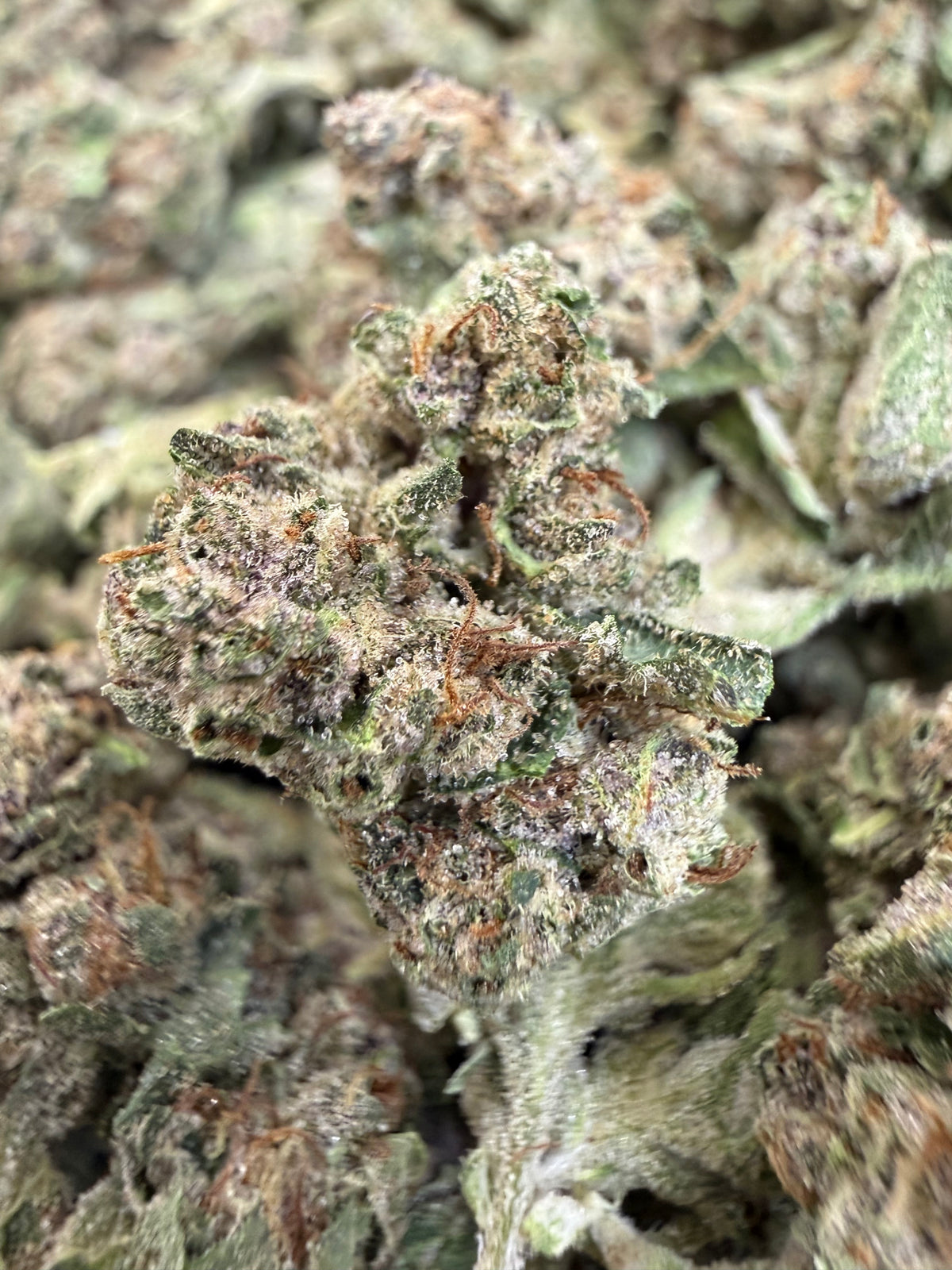 1 Pound - CHERRY GELATO THCA Flower (SMALL)