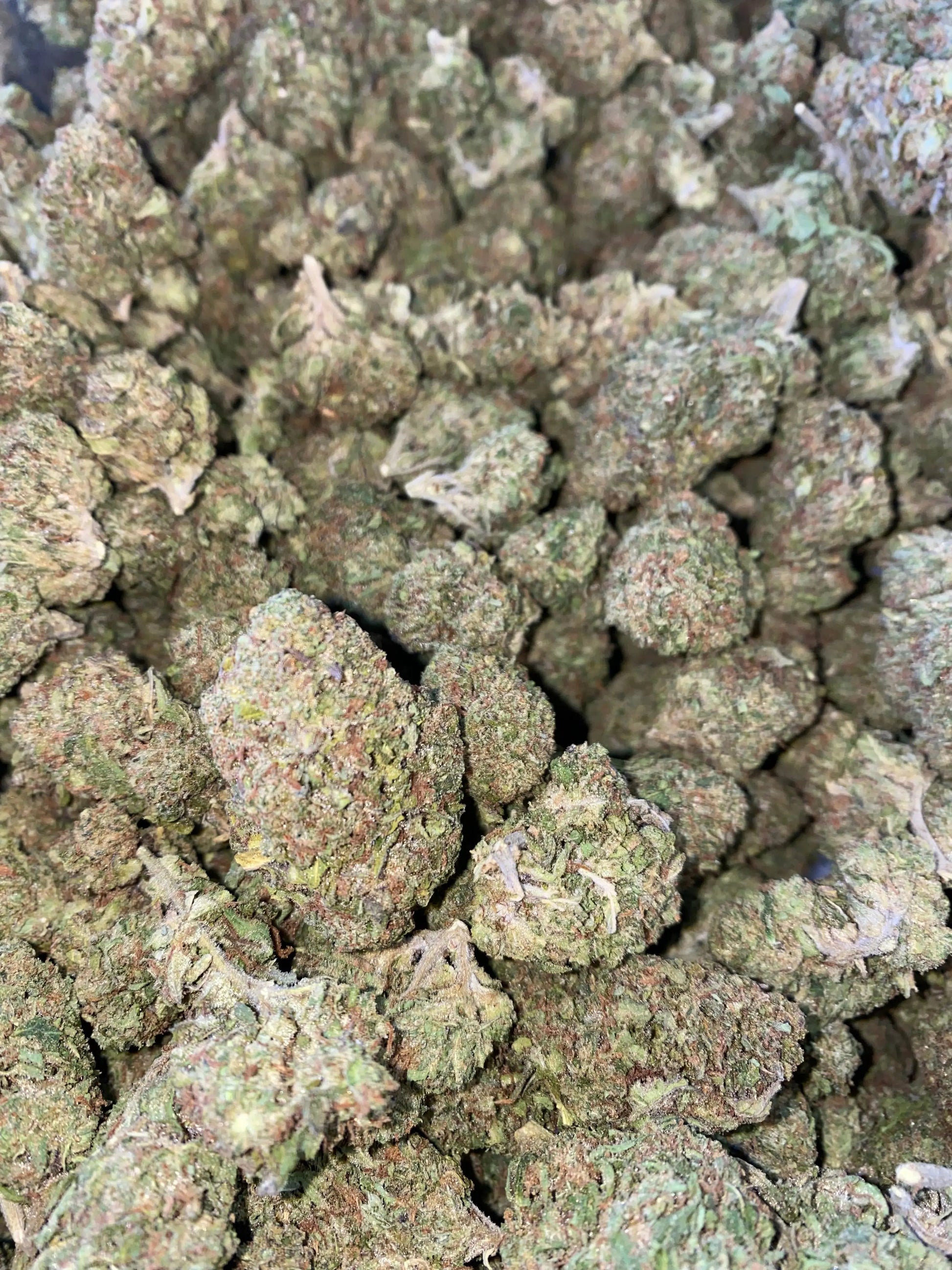 Ice Cream THCA Frisco Labs