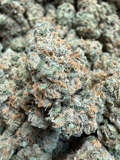 Indoor Exotic - 1 Pound Jack Herer THCA FL Fulfillment Center