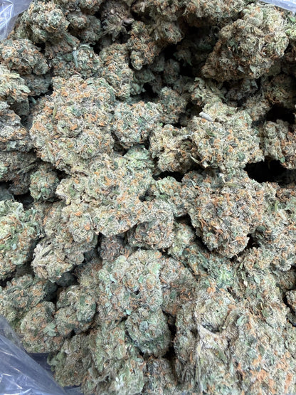 Indoor Exotic - 1 Pound Jack Herer THCA FL Fulfillment Center