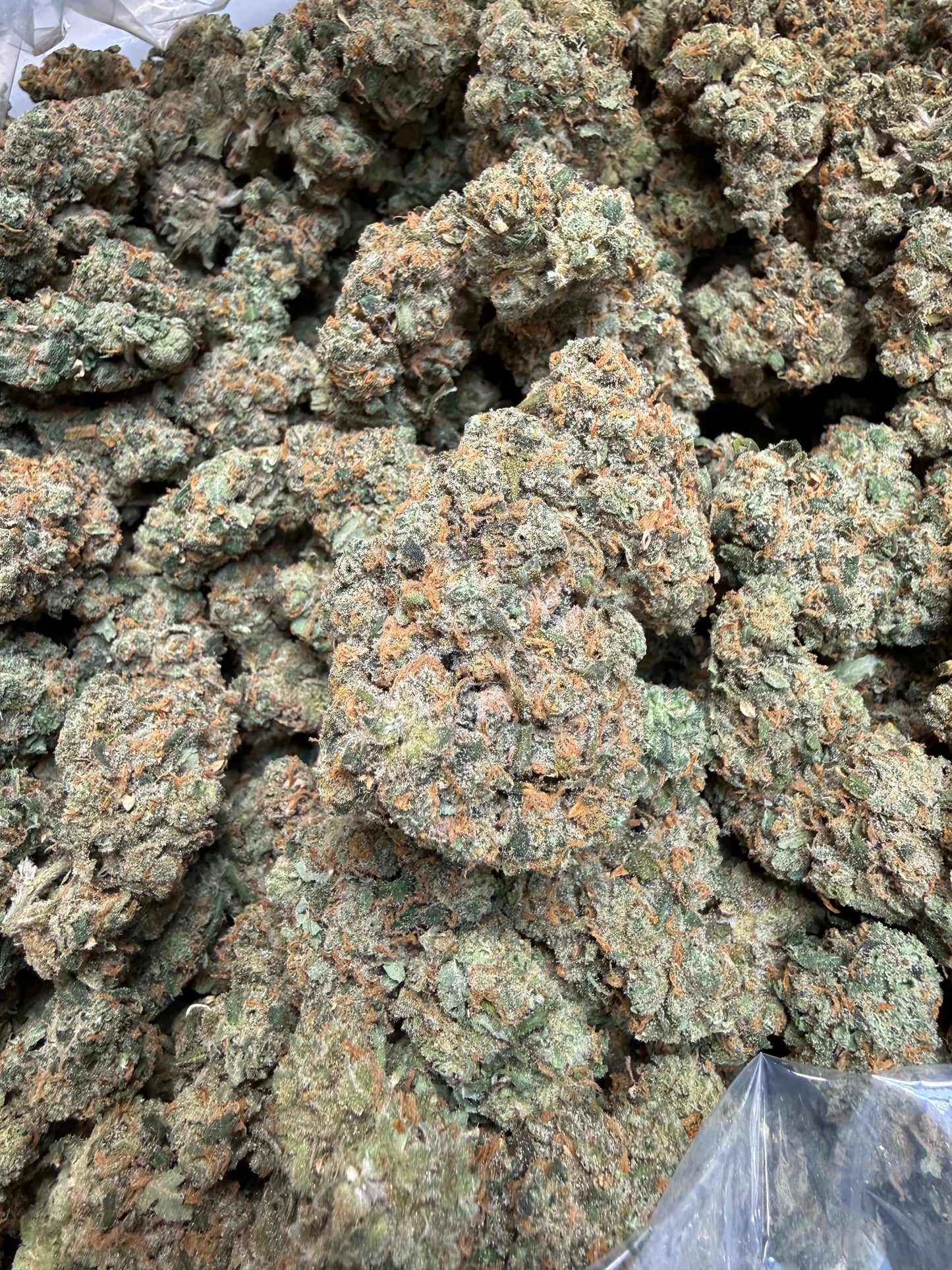 Indoor Exotic - 1 Pound Jack Herer THCA FL Fulfillment Center