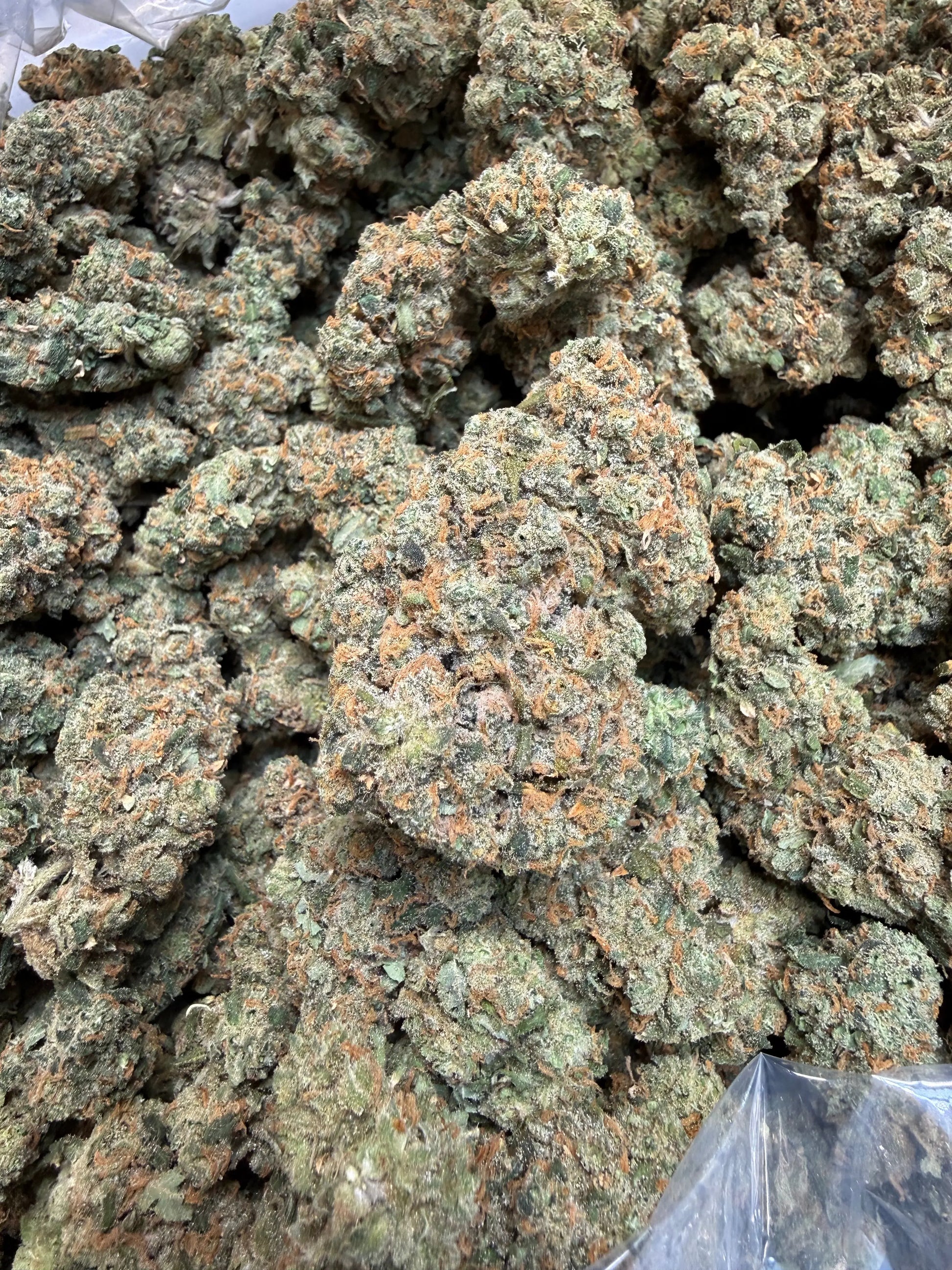 Indoor Exotic - 1 Pound Jack Herer THCA FL Fulfillment Center