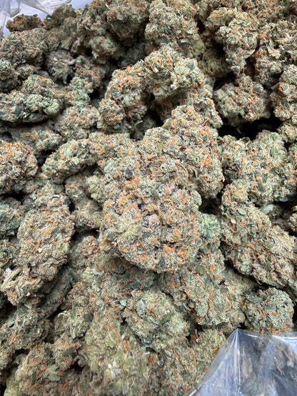 Indoor Exotic - 1 Pound Jack Herer THCA FL Fulfillment Center