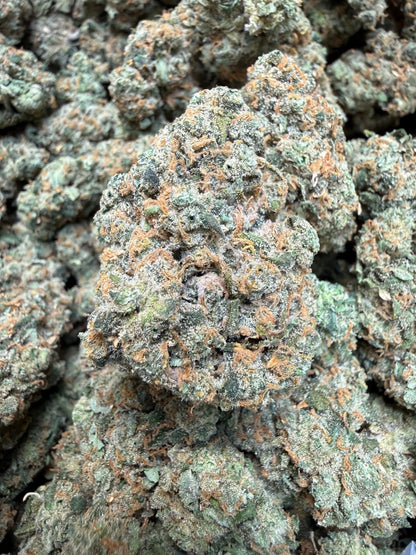 Indoor Exotic - 1 Pound Jack Herer THCA FL Fulfillment Center