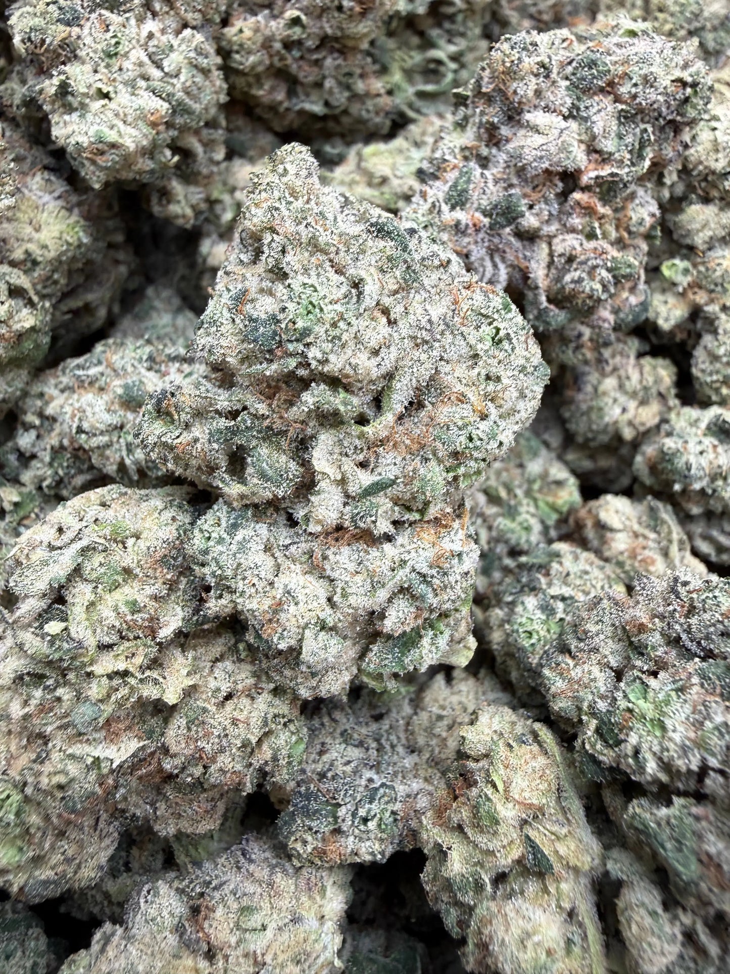 Indoor Exotic - 1 Pound - Sherb Popz THCA Strain Frisco Labs