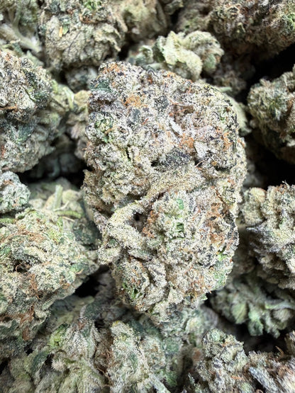 Indoor Exotic - 1 Pound - Sherb Popz THCA Strain Frisco Labs