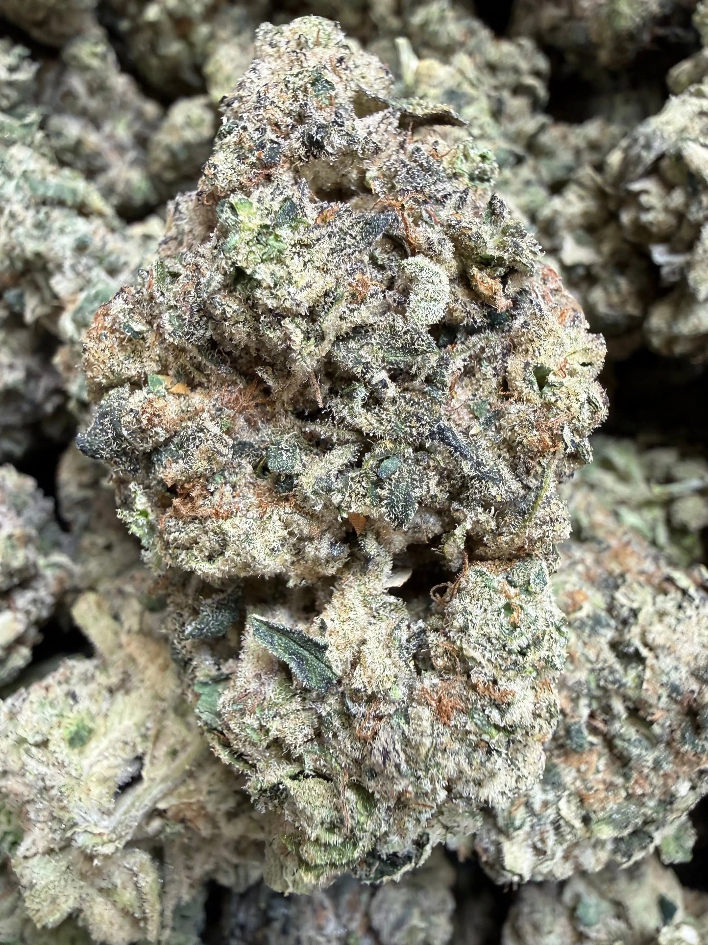 Indoor Exotic - 1 Pound - Sherb Popz THCA Strain Frisco Labs